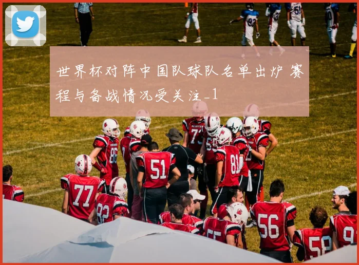 世界杯对阵中国队球队名单出炉 赛程与备战情况受关注_1
